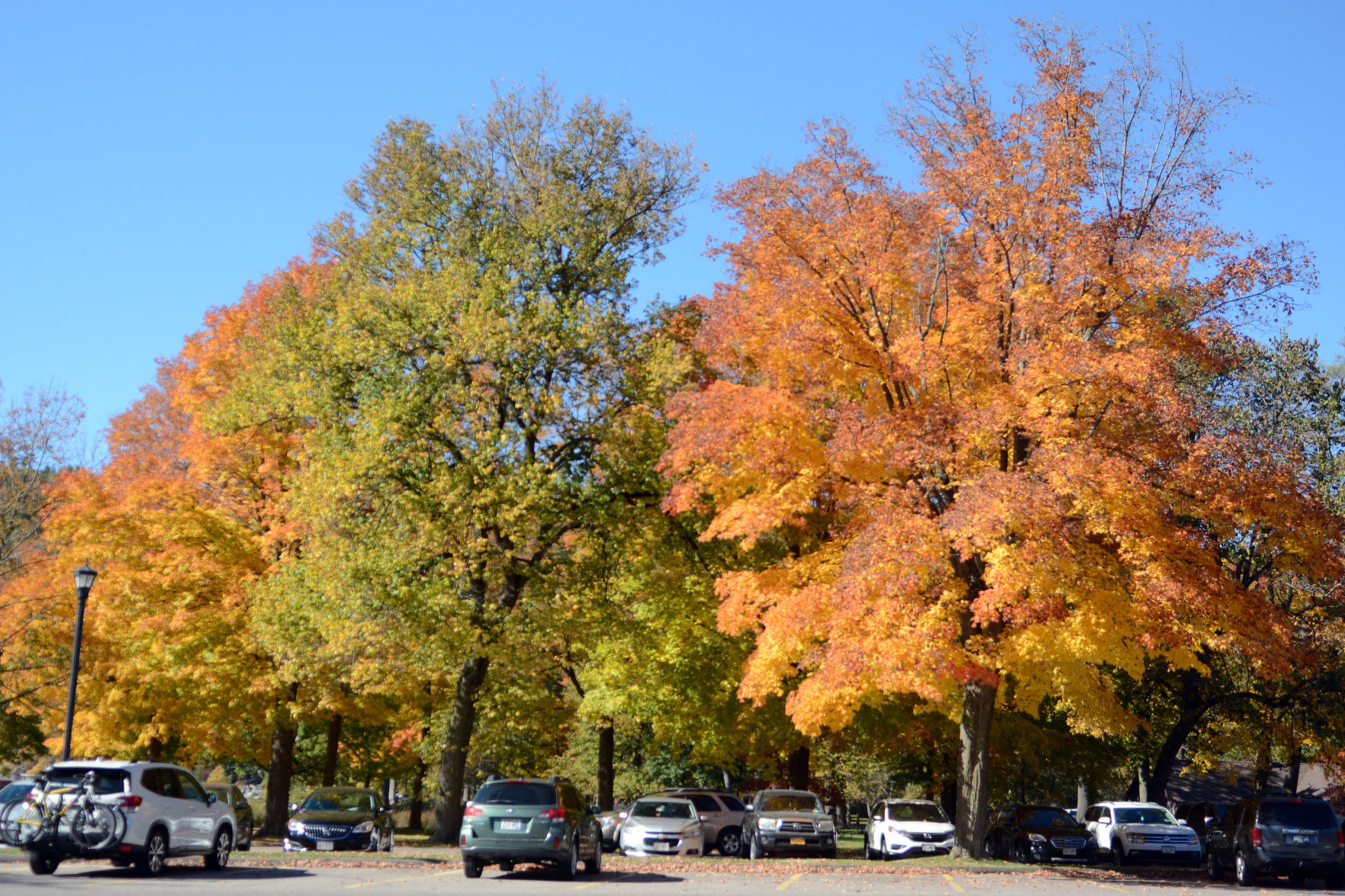 Baraboo area fall color, Oct. 8, 2020